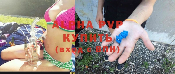 PSILOCYBIN Бронницы