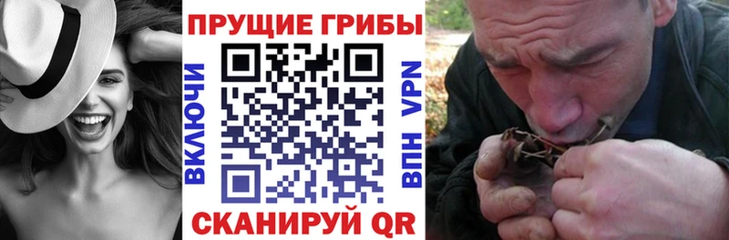 Купить закладки  Кимовск  Псилоцибиновые грибы MAGIC MUSHROOMS 