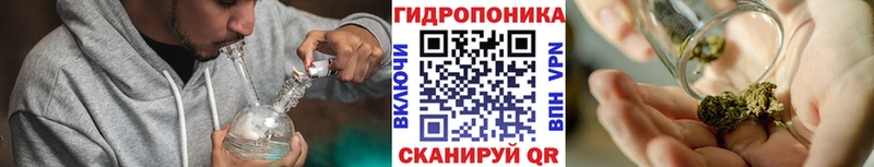 Бошки Шишки план  Купить закладки  Кимовск 